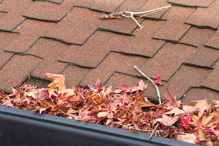 Gutter Replacements