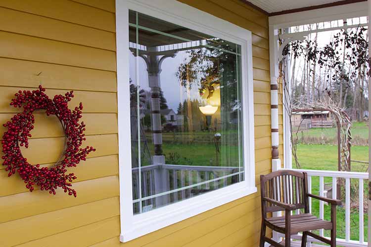 Window Options and Styles